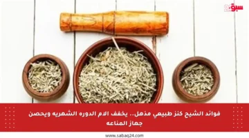 فوائد الشيح كنز طبيعي مذهل.. يخفف آلام الدورة الشهرية ويحصن جهاز المناعة